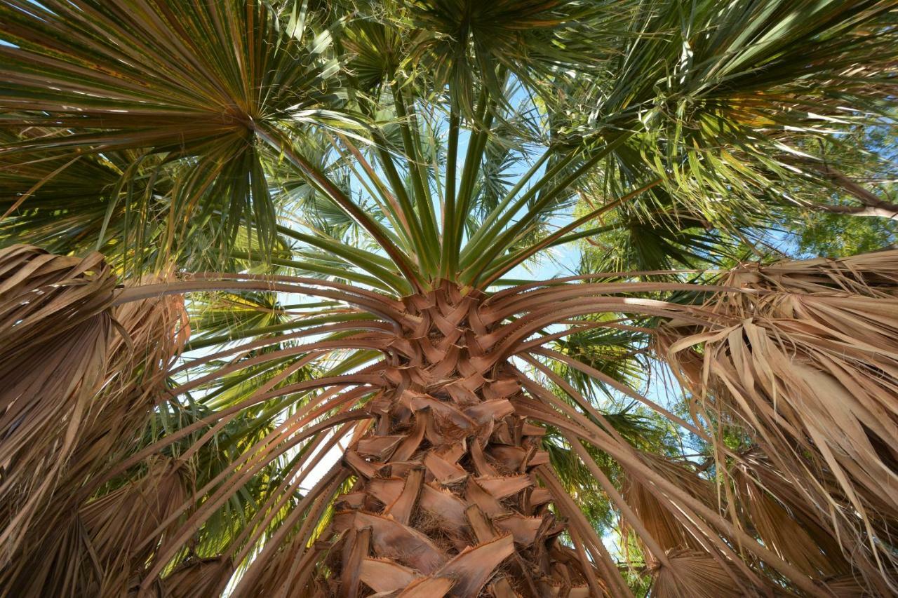 Apartament Pura Vida El Morche Torrox Zewnętrze zdjęcie